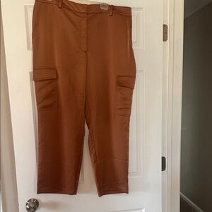 LOFT Men's Tan Cargo Pants